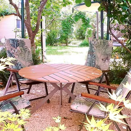 公寓 Pakua - Relax 罗维尼