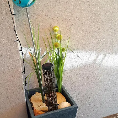 Apartament Pakua & Penthouse