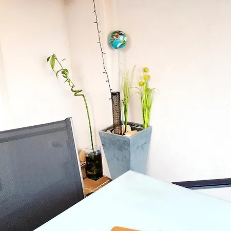 Pakua & Penthouse Rovinj